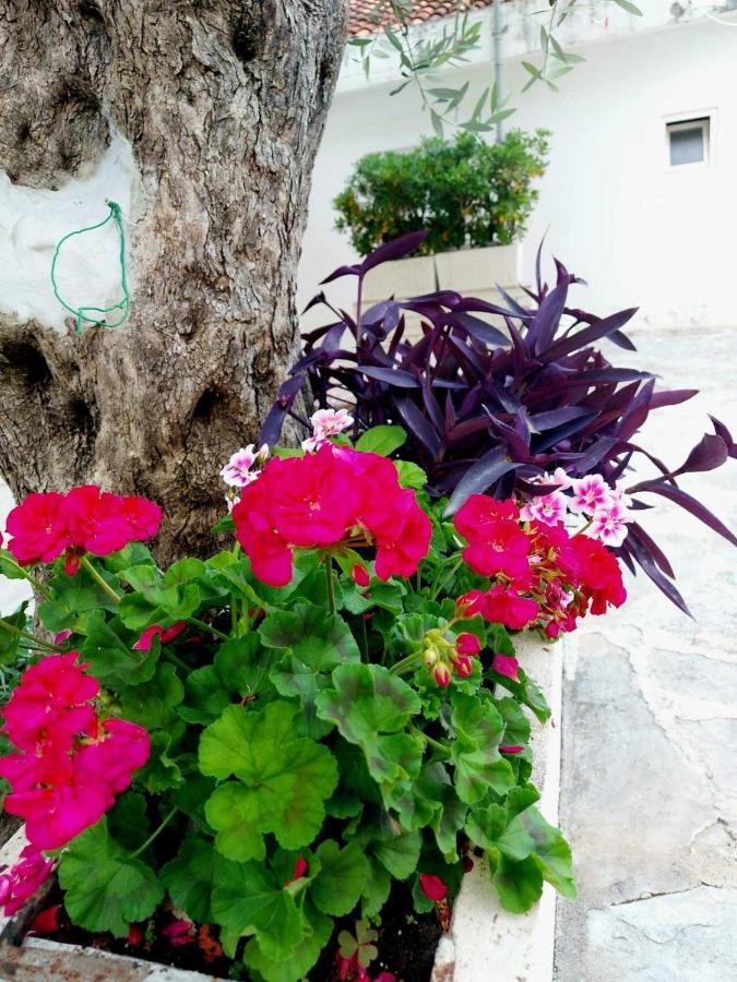 Apartments Djuro Rafailovic Budva Zewnętrze zdjęcie